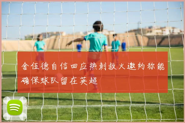 舍伍德自信回应热刺救火邀约称能确保球队留在英超
